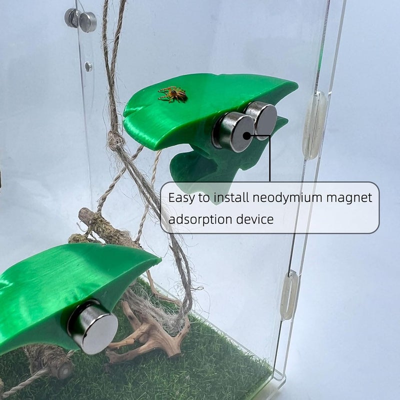 Daerky Jumping Spider Mushroom Shelf, Magnetically Concealed Jumping Spider Habitat,Serves As Enclosure Decorate Accessories for Spider Climbing Feeding and Platforms (Green) - Image 3
